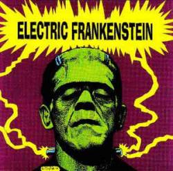 Electric Frankenstein : I'm Not Your (Nothing)